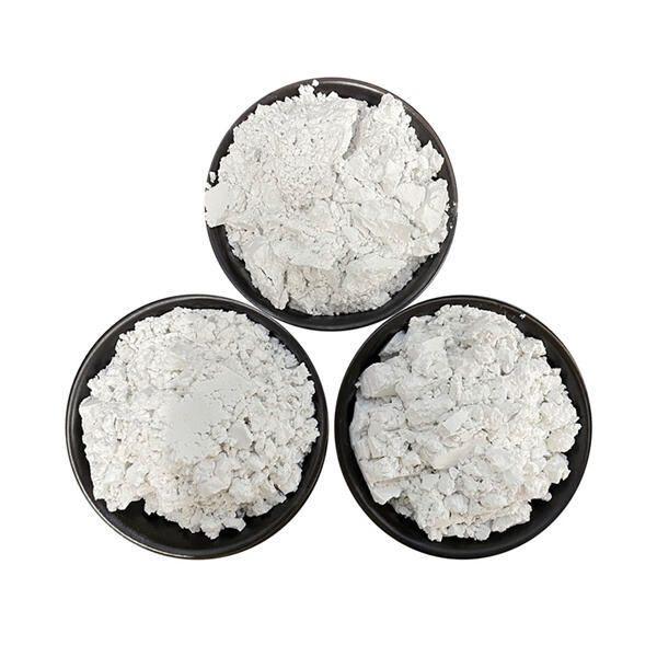 Advantages and Benefits of Diatomaceous Earth 1kg