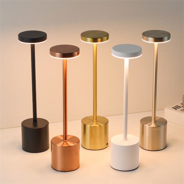 Portable and practical LED lighting