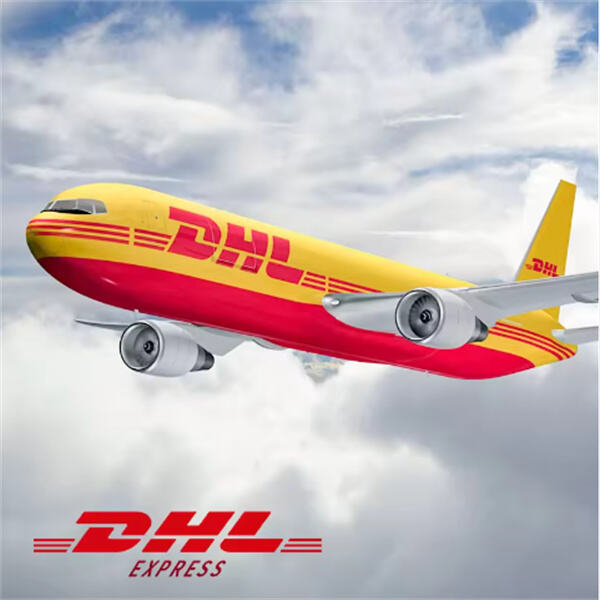 Usageu00a0 of DHL Delivery Tracking