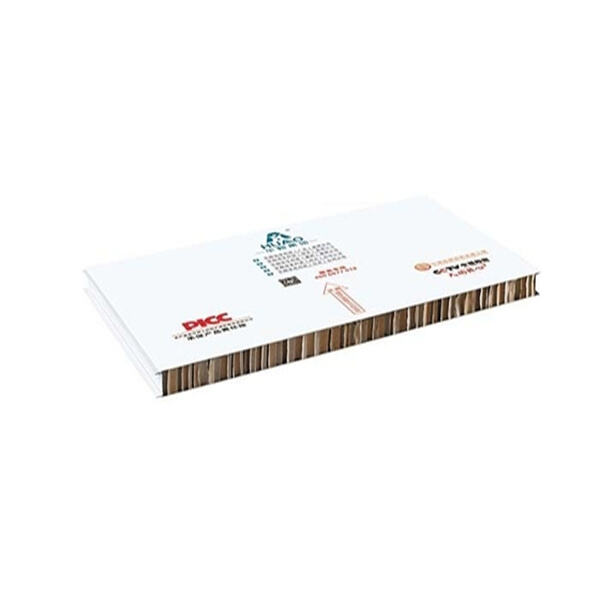 Why Choose a Sandwich Roof? The Advantages of Lightweight Construction and Insulation.