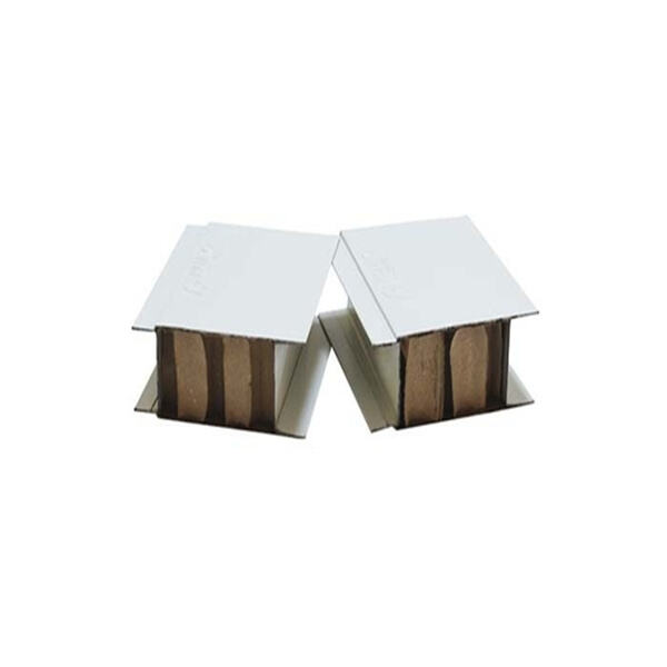 The Future of Sustainable and Environmentally-Friendly Roofing Solutions.