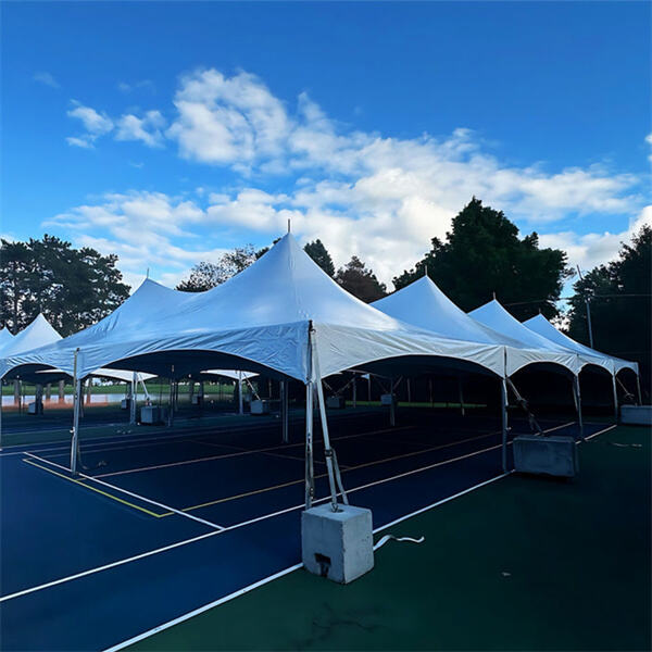Adquira Sua Tenda de Moldura 20x30 por um Ótimo Preço