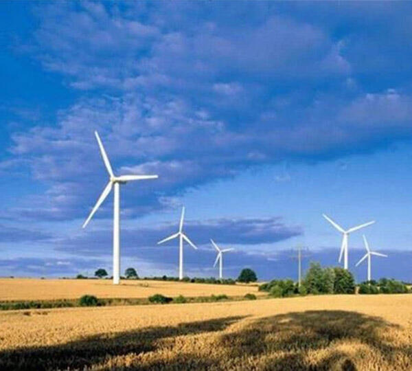 Explore The Introduction Of Wind Power Plants