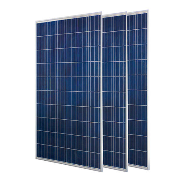 Solar Power  Plant Solar Module