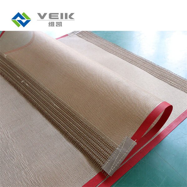 Heat Resistant and Chemical Resistant Ptfe Seamless Ring Belt