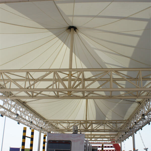 Pag-Unlad ng mga Estruktural na Membrana: