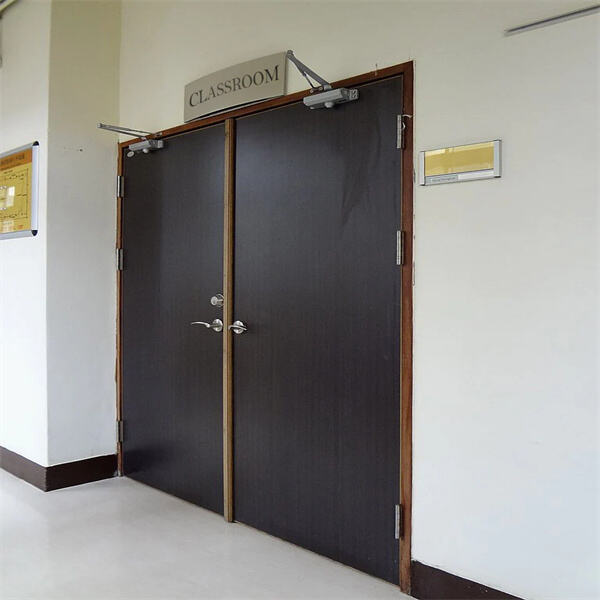 Enhance Your Home or Business with Double Metal Doors