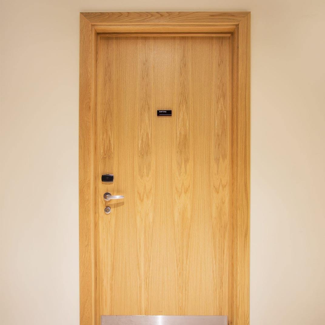 Flush Design Wood Ignis Door