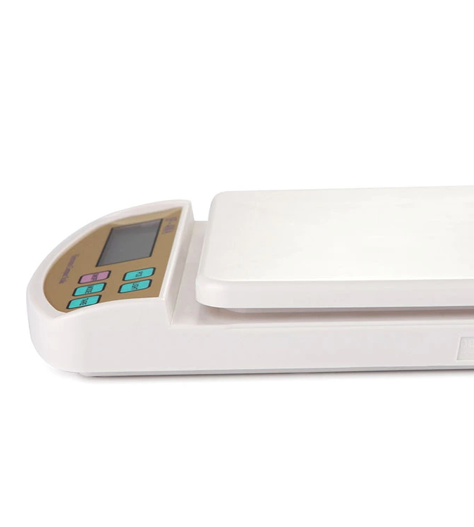 Experience the classic charm of Changxie Mechanical Food Scale