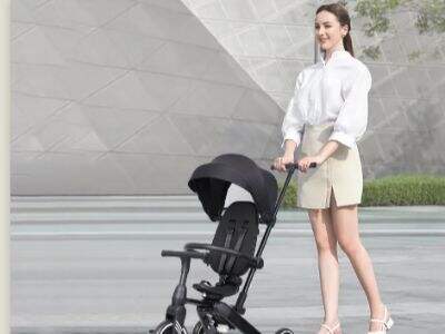 What are the advantages and disadvantages of multifunctional baby car seats stroller?