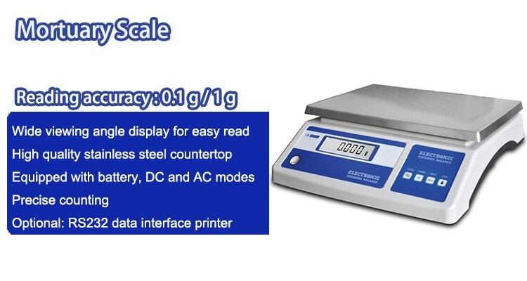 Cheap Stable Anatomy Scale manufacture