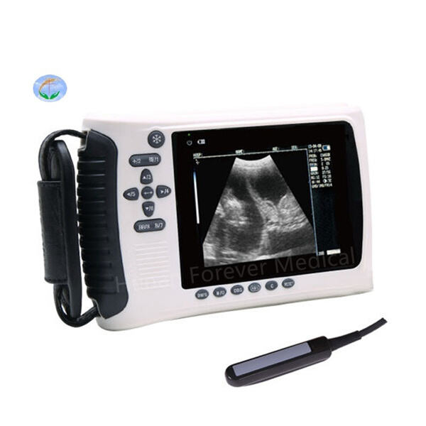 How a Versatile Canine Ultrasound Machine Enhances Veterinary Practice