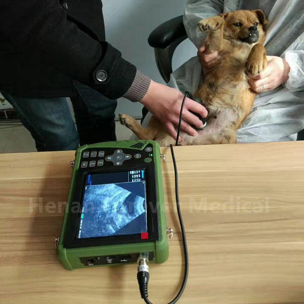 Healthy Puppy Development through Dog Pregnancy Scanners 