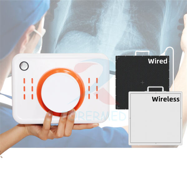 The State-of-the-Art Handheld Portable X-Ray Machines and Their Safety