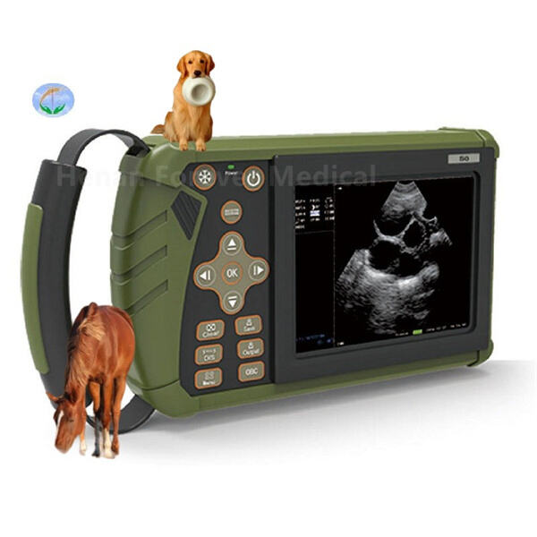 Enhancing Animal Healthcare with High-Resolution Portable X-Ray Devices