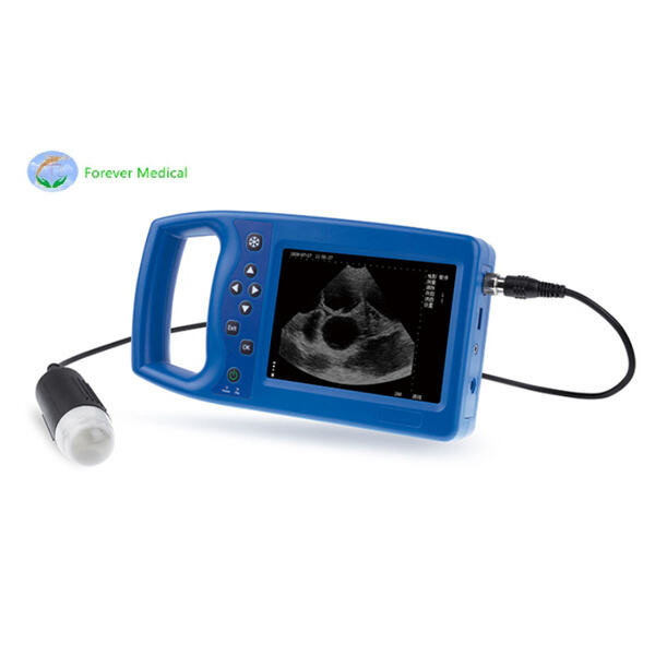 How to Use an Ultrasound Veterinary Machine