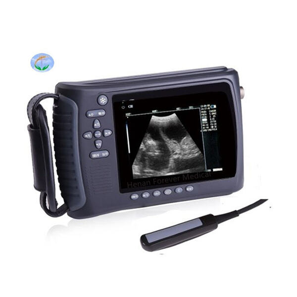 High Resolution Imaging Featured in Modern Dog Ultrasound Technology