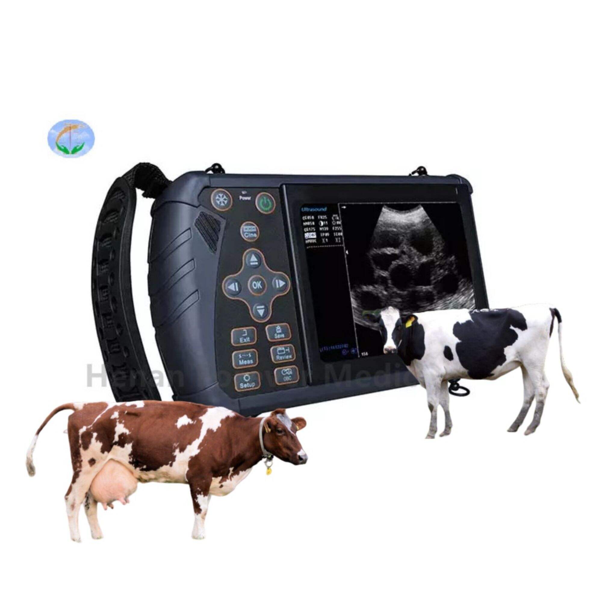 Veterinär ultraljudsmaskin YJ-S1