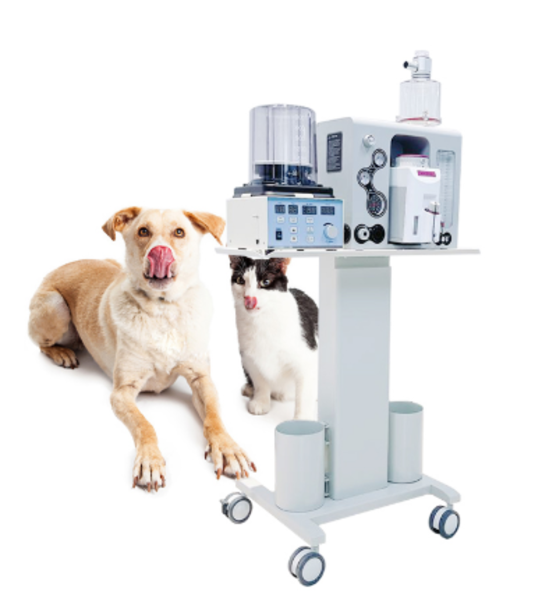  veterinary anesthesia machine