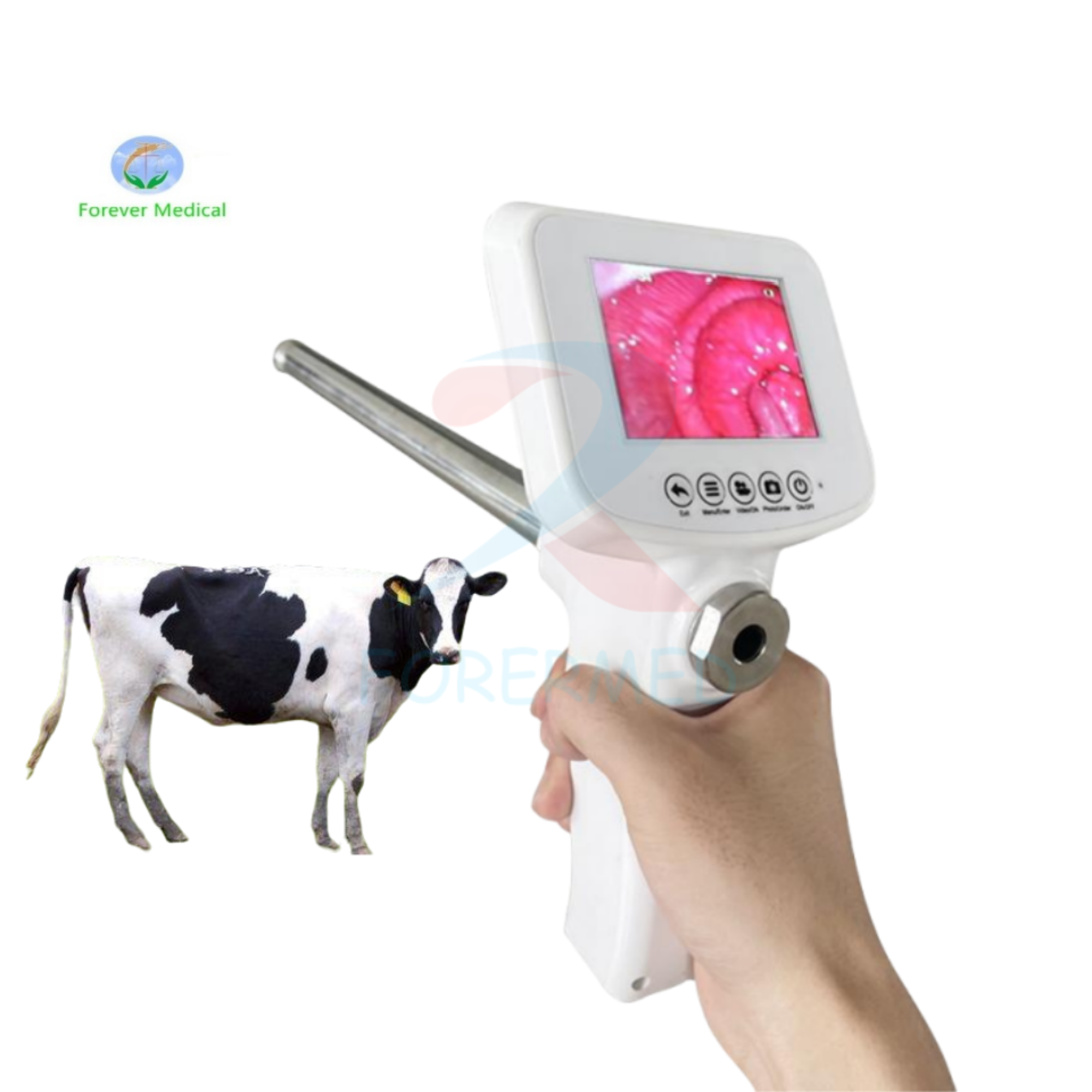 Artificial insemination gun