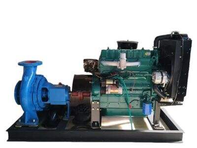 Ưu và nhược điểm của việc sử dụng máy bơm tưới tiêu chạy diesel