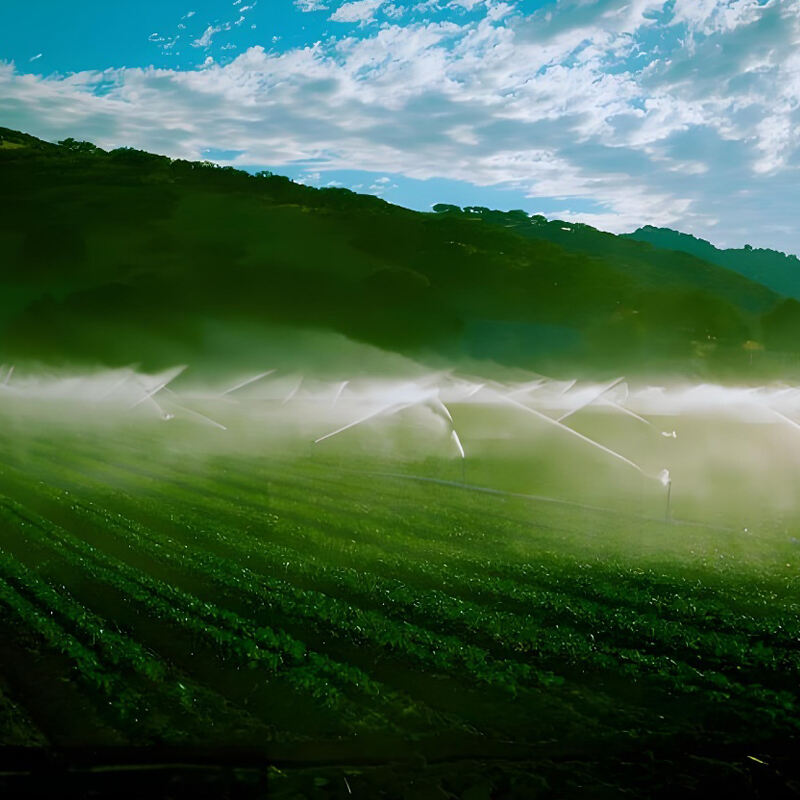 Farmland irrigation