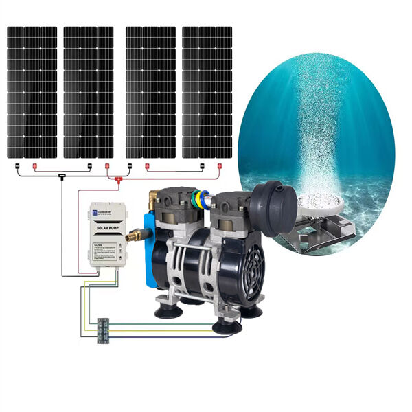 Maximize Pond Oxygenation with the Power of Solar Energy