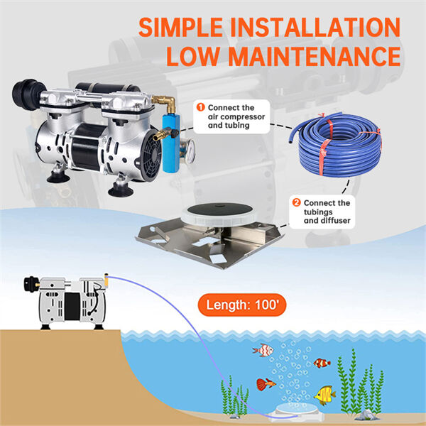 Eliminate oxygen deprivation in your fish pond with an air pump