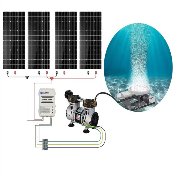 Go Green with Large Pond Solar Aerators