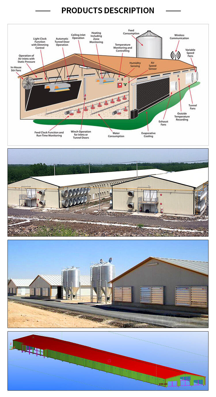 Structure de ferme avicole d'étable de maison d'animaux bon marché légère préfabriquée détails du hangar industriel à cadre en acier à faible coût