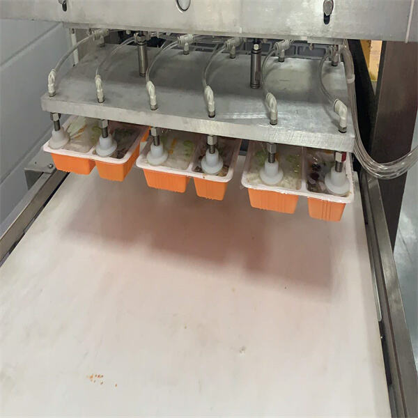 Utilization of Tray Filling and Sealing Device