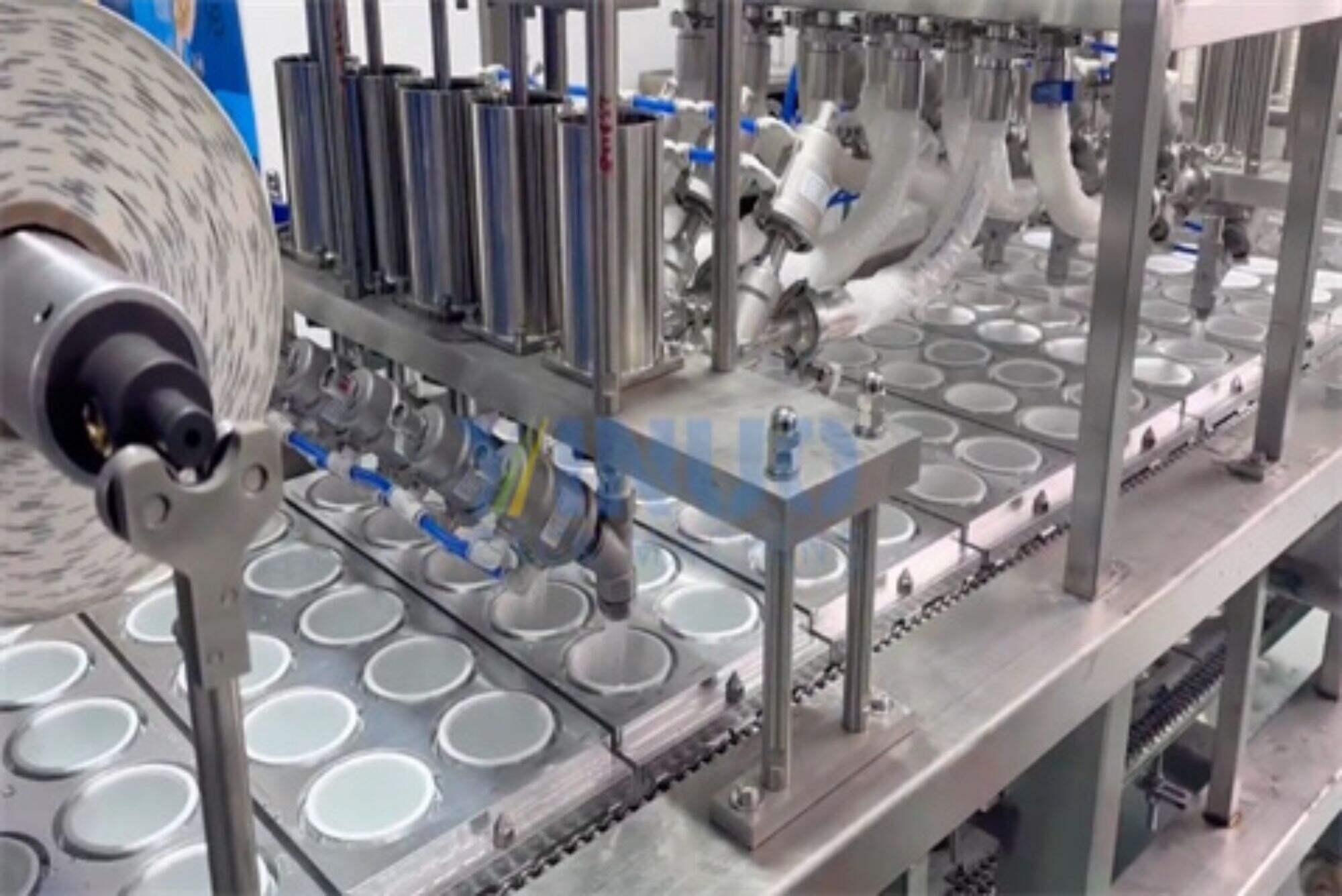Prise de vue réelle d'une machine de remplissage et de scellage d'eau de gobelets en plastique