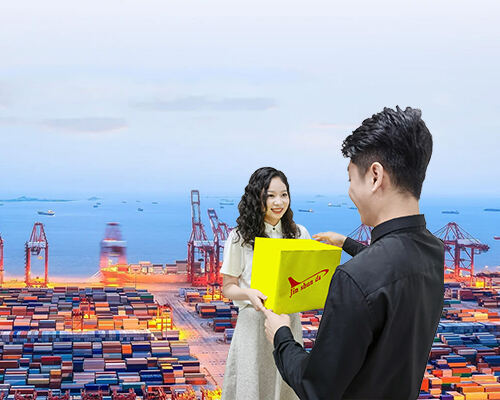 professional international logistics and freights
