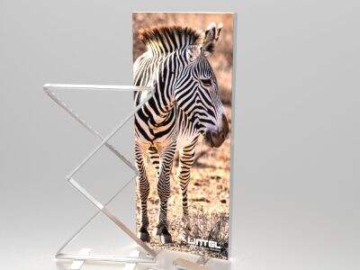 折りたたみ式SEGライトボックス:新製品ディスプレイとソリューション