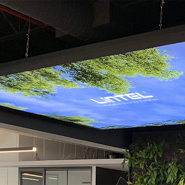 Enhance Your Space with Stylish and Energy-Efficient Light Box Ceilings