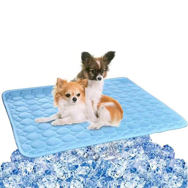 Stay on Top of Pet Messes with Durable, Reusable Pee Pads