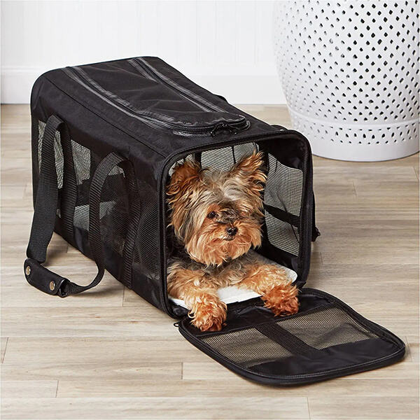 Portable and Versatile Options for Carrying Your Canine