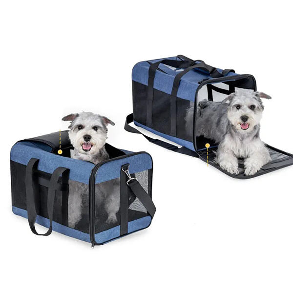 Innovative and Convenient Carriers for Small and Large Dogs Alike