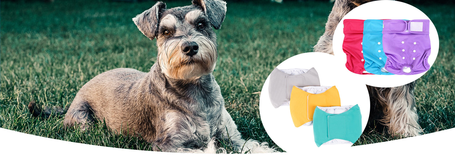 Washable Reusable Dog Diaper Durable Female Dog Diapers Doggie Cloth Nappy 3pcs Pack supplier