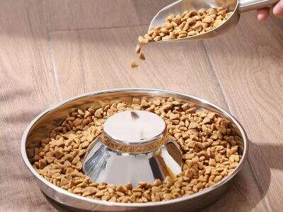 Top 4 Pet Bowls Manufacturers in UK