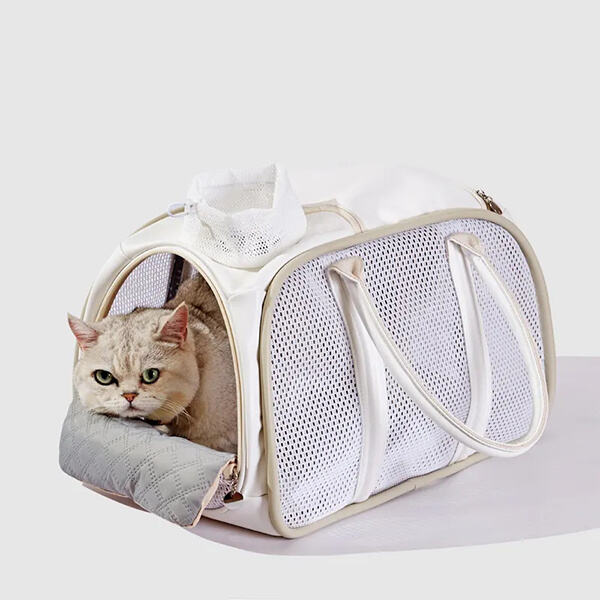 The Convenience of a Pet Backpack