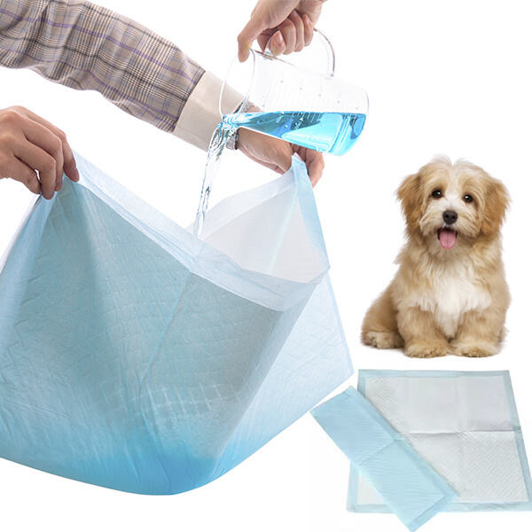 Une protection confortable et fiable pour votre chien avec des couches pour chiens