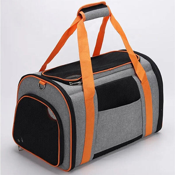 Maximize Your Cat's Comfort During Travel with a Large Carrier