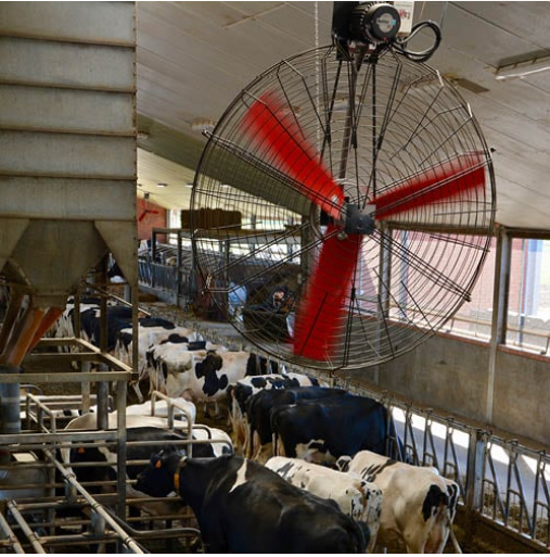 Factory Direct Sales Nylon Blade Cooling Fan for Dairy Barns and Cow Farm Houses Industrial Ventilation Fans factory