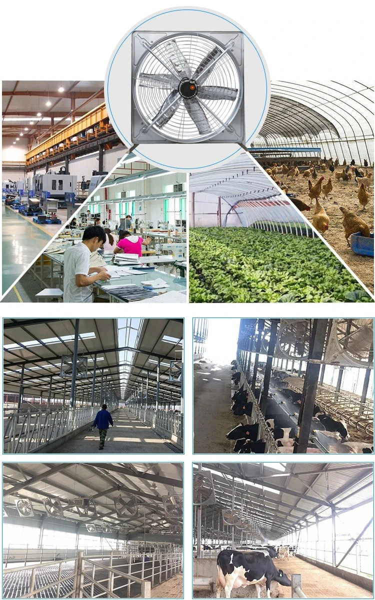 1.2m Cattle Shed Ventilation Greenhouse Fan Dairy Exhaust Fans Cow House Exhaust Fan manufacture