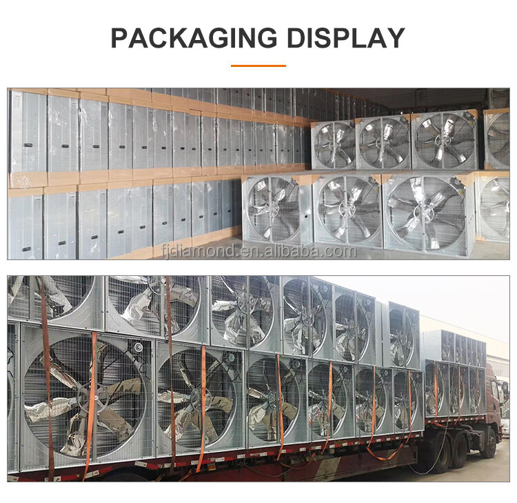 Fan with Ventilation for Poultry Chicken Broiler Farm Exhaust Fan factory