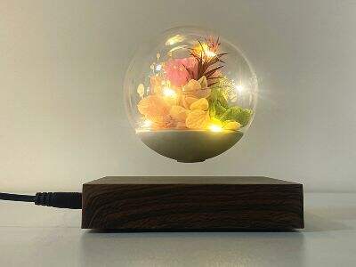 Best 5 Creative Small Night Light