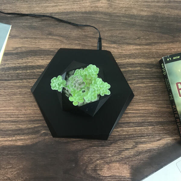 Safety of this Levitating Plant Pot