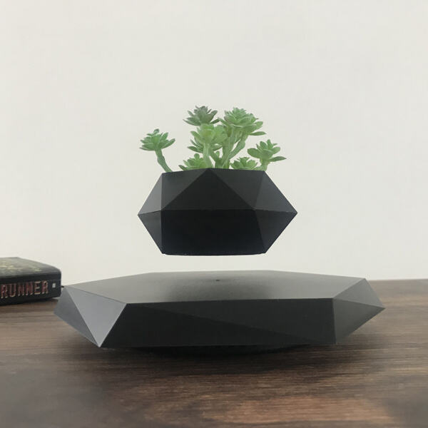 Innovation of the Levitating Plant Pot