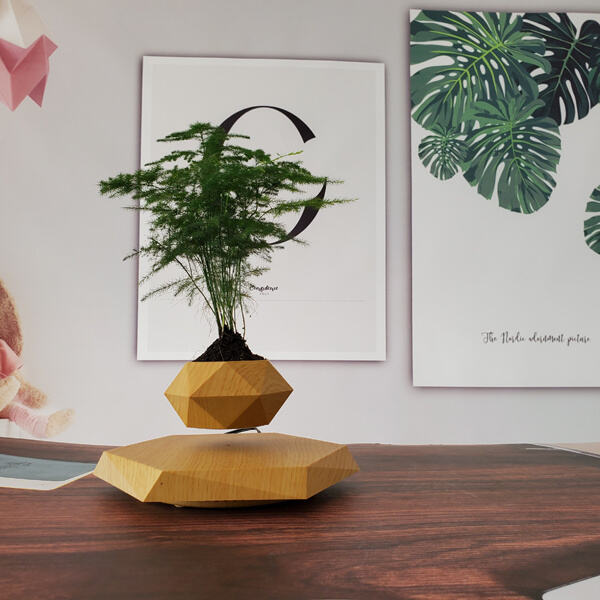 Use of the Floating Magnetic Plant Pot